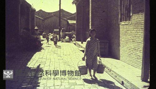 1950至2006年臺灣常民生活藏品圖，第1張