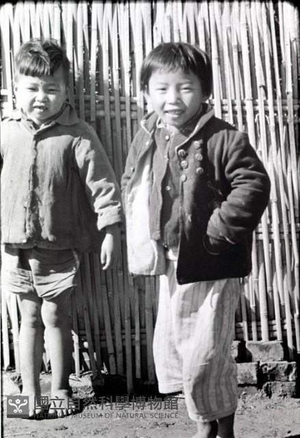 1950至2006年臺灣常民生活藏品圖，第1張