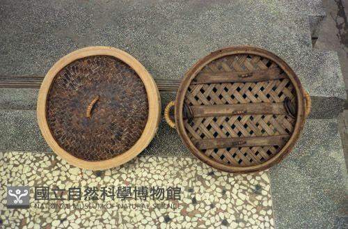 1950至2006年臺灣常民生活藏品圖，第1張