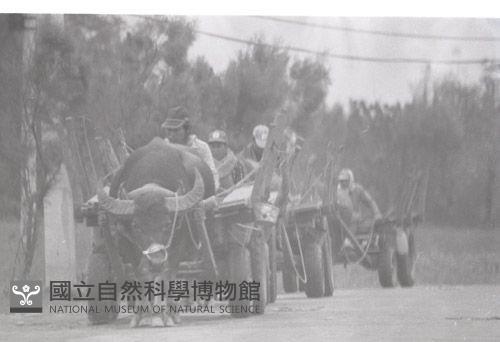 1950至2006年臺灣常民生活藏品圖，第1張