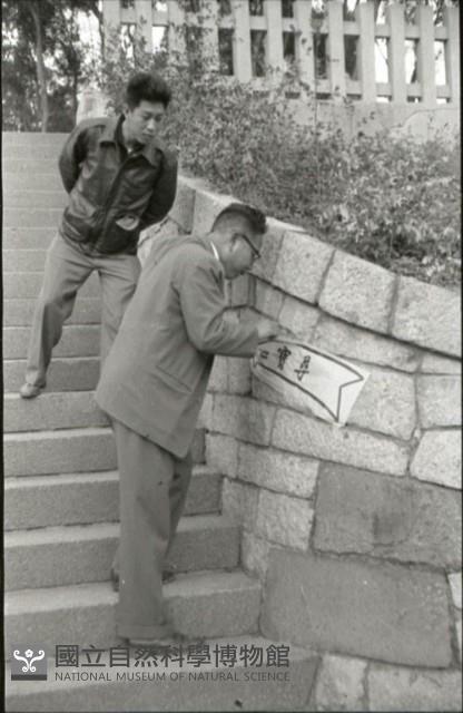 1950至2006年臺灣常民生活藏品圖，第1張