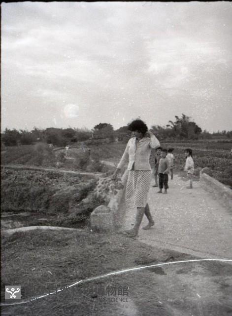 1950至2006年臺灣常民生活藏品圖，第1張