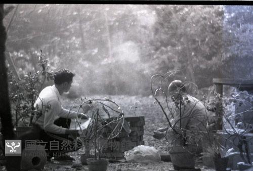 1950至2006年臺灣常民生活藏品圖，第1張