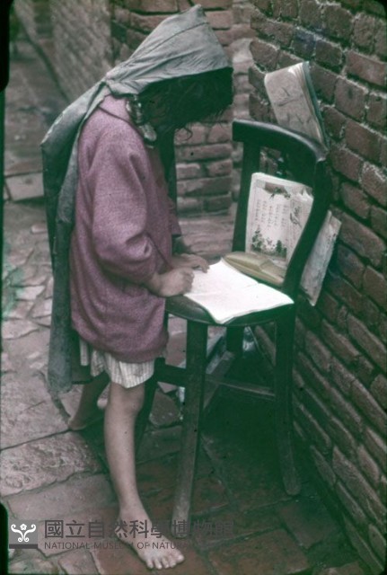 〈宿題〉趁著太陽下山前在屋外寫功課（1950至2006年臺灣常民生活）藏品圖，第1張