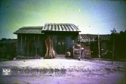 1950至2006年臺灣常民生活藏品圖，第1張