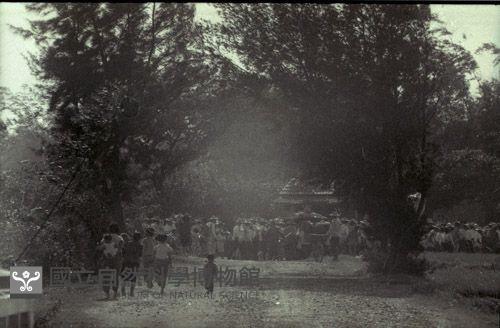 1950至2006年臺灣常民生活藏品圖，第1張