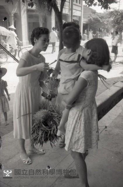 1950至2006年臺灣常民生活藏品圖，第1張