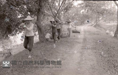 1950至2006年臺灣常民生活藏品圖，第1張