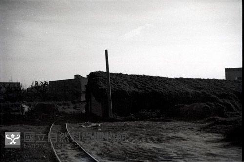 1950至2006年臺灣常民生活藏品圖，第1張