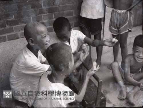 1950至2006年臺灣常民生活藏品圖，第1張