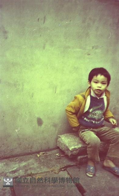 1950至2006年臺灣常民生活藏品圖，第1張
