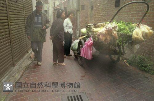 1950至2006年臺灣常民生活藏品圖，第1張