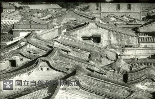 1950至2006年台灣常民生活藏品圖，第1張