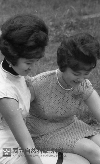 1950至2006年臺灣常民生活藏品圖，第1張