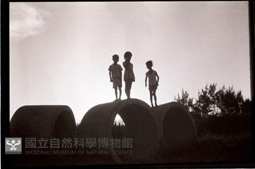 1950至2006年臺灣常民生活藏品圖，第1張