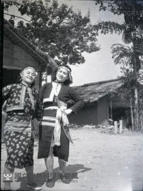 1950至2006年臺灣常民生活藏品圖，第1張