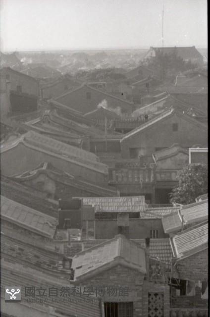 1950至2006年台灣常民生活藏品圖，第1張