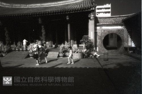 1950至2006年臺灣常民生活藏品圖，第1張