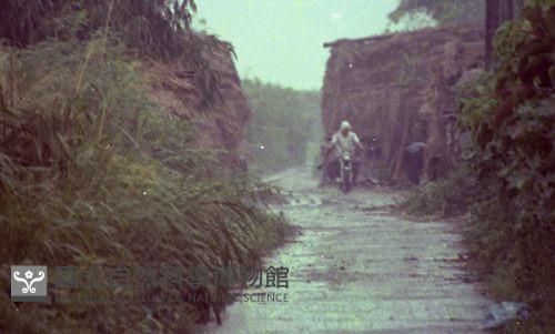 1950至2006年臺灣常民生活藏品圖，第1張