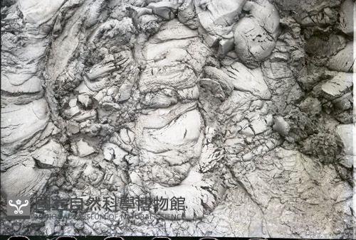 1950至2006年台灣常民生活藏品圖，第1張
