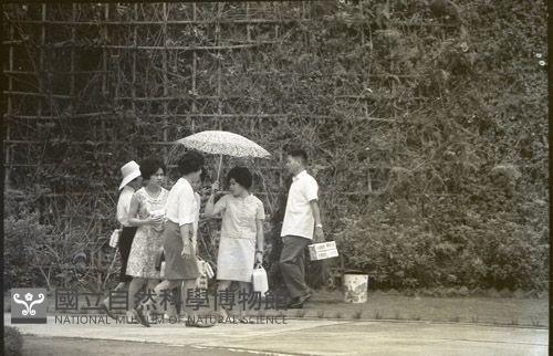 1950至2006年臺灣常民生活藏品圖，第1張