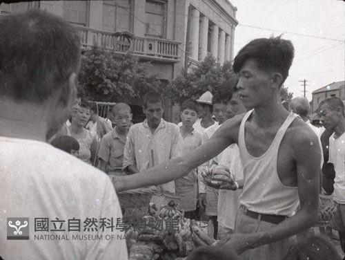 1950至2006年臺灣常民生活藏品圖，第1張