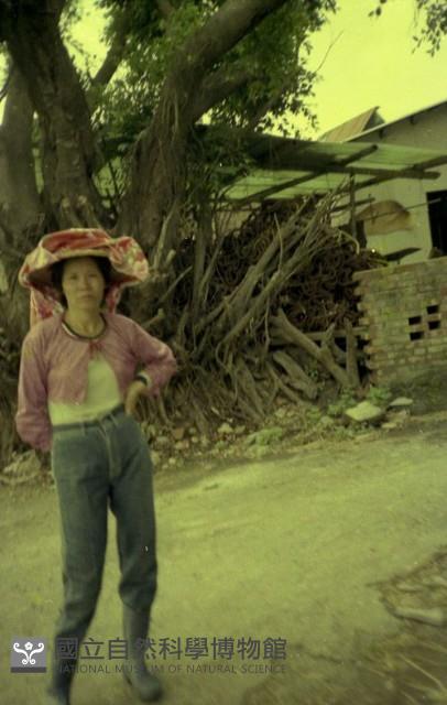 1950至2006年臺灣常民生活藏品圖，第1張