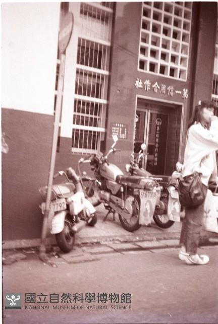 1950至2006年臺灣常民生活藏品圖，第1張