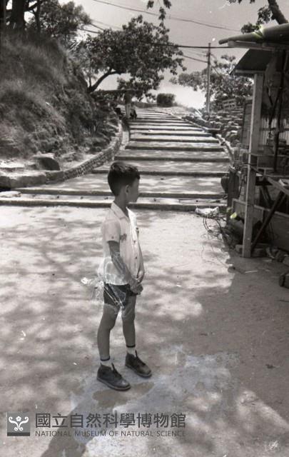 1950至2006年臺灣常民生活藏品圖，第1張