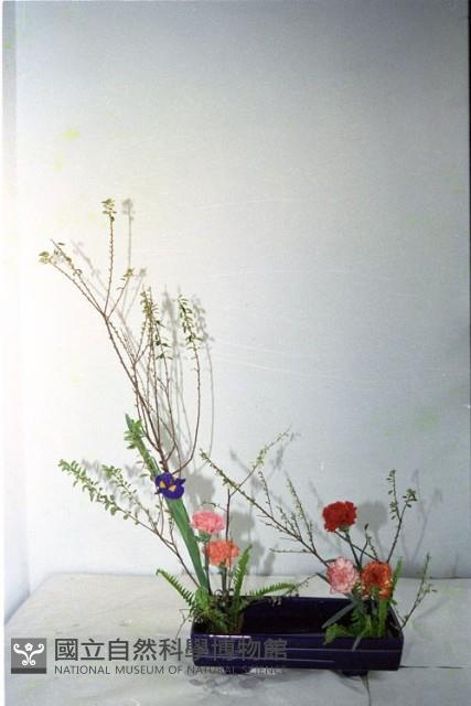 1950至2006年臺灣常民生活藏品圖，第1張
