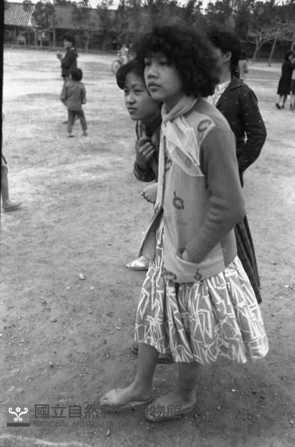 1950至2006年臺灣常民生活藏品圖，第1張