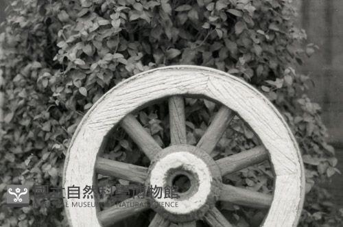 1950至2006年台灣常民生活藏品圖，第1張