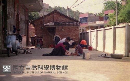 1950至2006年臺灣常民生活藏品圖，第1張