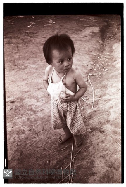 1950至2006年臺灣常民生活藏品圖，第1張