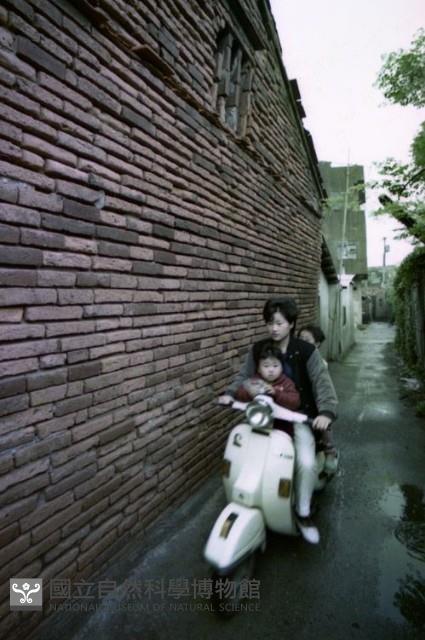 1950至2006年臺灣常民生活藏品圖，第1張