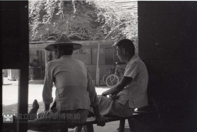 1950至2006年臺灣常民生活藏品圖，第1張