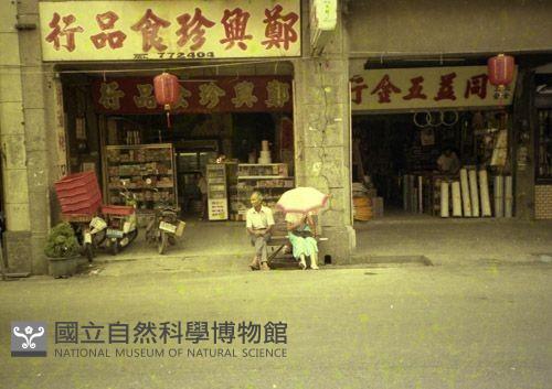 Accession Number:MP2007002510 Collection Image
