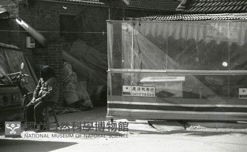 1950至2006年臺灣常民生活藏品圖，第1張