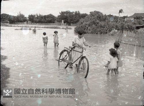 1950至2006年臺灣常民生活藏品圖，第1張