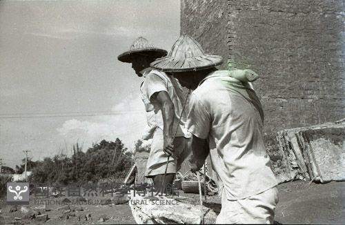 1950至2006年臺灣常民生活藏品圖，第1張