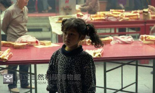 1950至2006年臺灣常民生活藏品圖，第1張