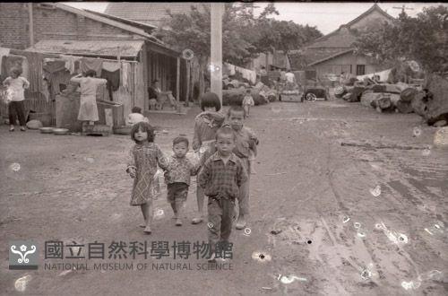 1950至2006年臺灣常民生活藏品圖，第1張