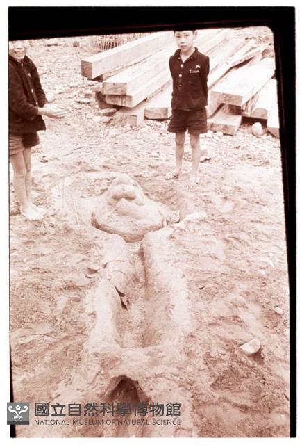 1950至2006年臺灣常民生活藏品圖，第1張