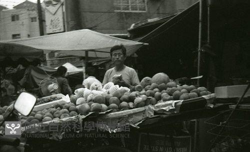 1950至2006年臺灣常民生活藏品圖，第1張