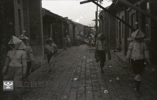 1950至2006年臺灣常民生活藏品圖，第1張