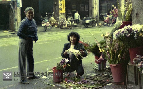 1950至2006年臺灣常民生活藏品圖，第1張