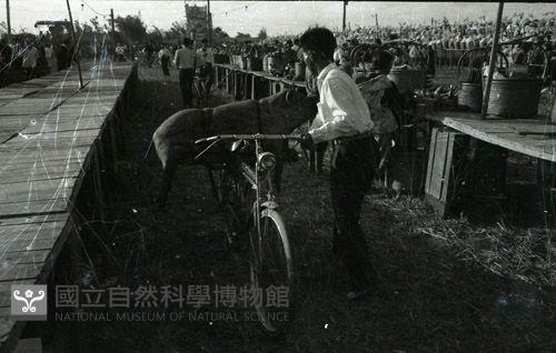 1950至2006年臺灣常民生活藏品圖，第1張