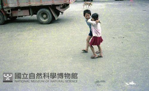 1950至2006年臺灣常民生活藏品圖，第1張