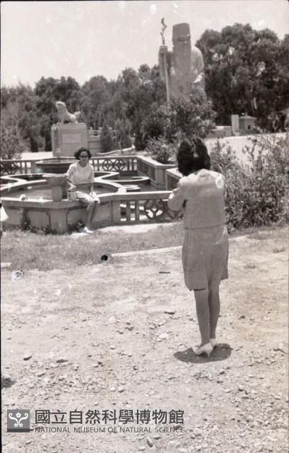 1950至2006年臺灣常民生活藏品圖，第1張