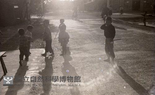 1950至2006年臺灣常民生活藏品圖，第1張